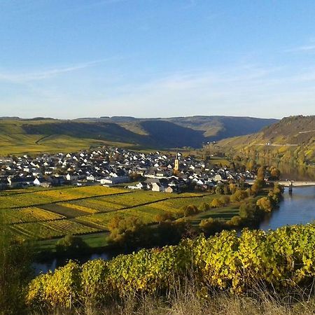 Wein & Gaestehaus Hermeshof Trittenheim Ngoại thất bức ảnh