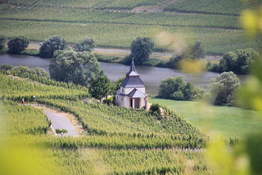 Wein & Gaestehaus Hermeshof Trittenheim Ngoại thất bức ảnh