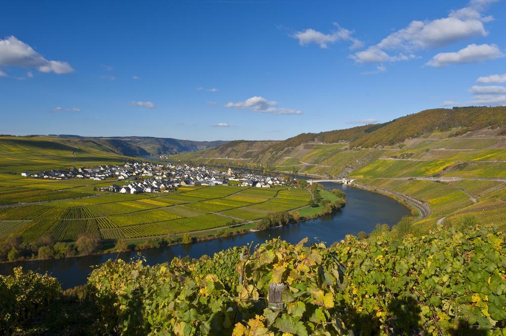 Wein & Gaestehaus Hermeshof Trittenheim Ngoại thất bức ảnh
