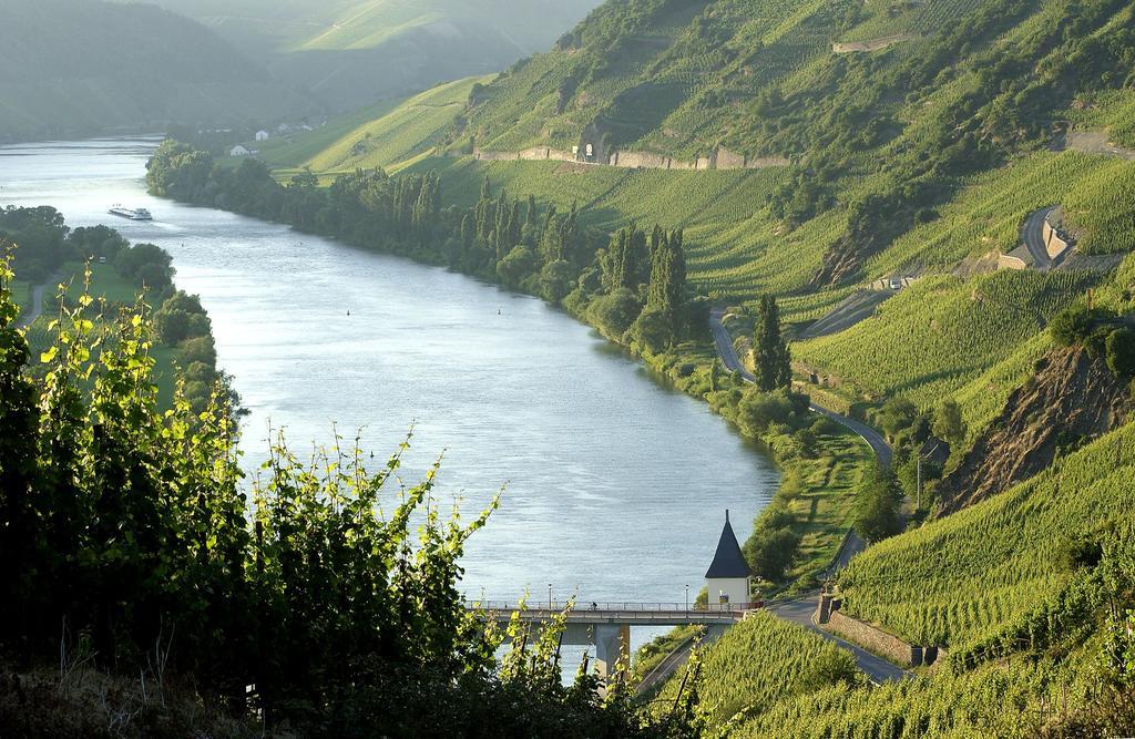 Wein & Gaestehaus Hermeshof Trittenheim Ngoại thất bức ảnh
