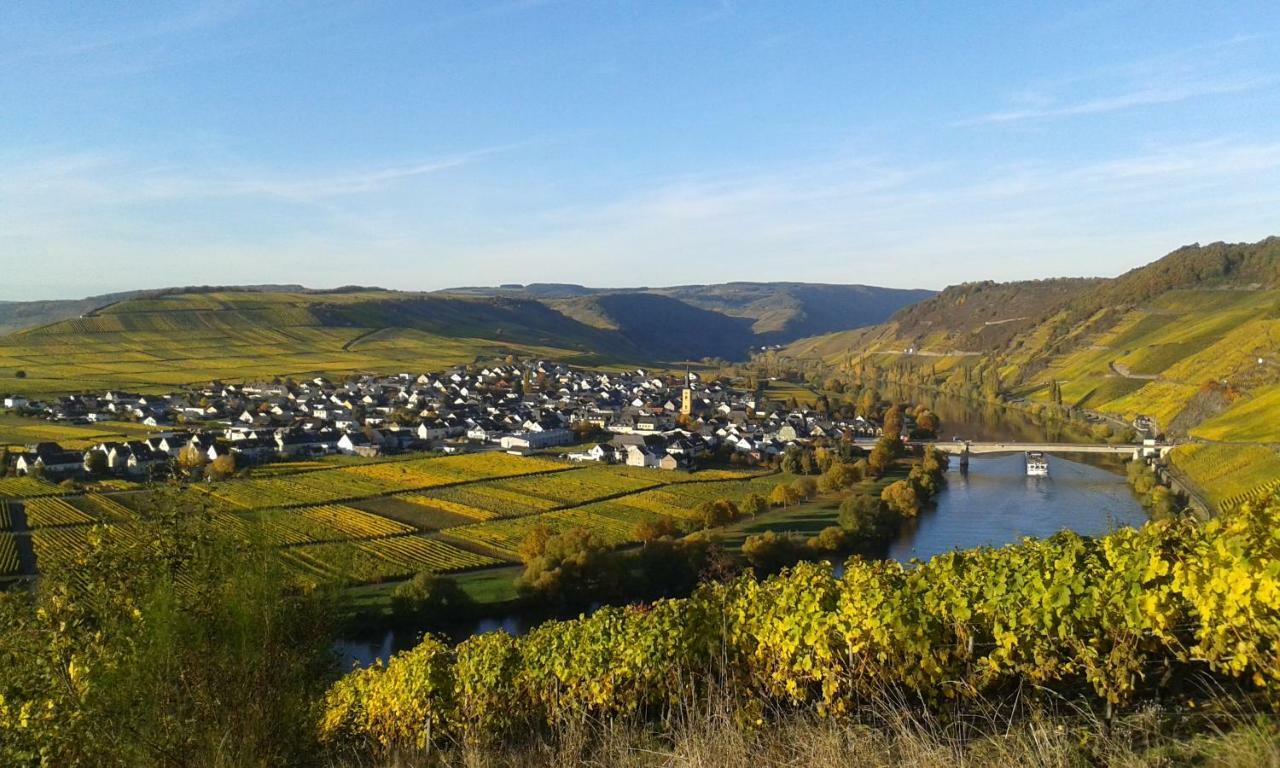Wein & Gaestehaus Hermeshof Trittenheim Ngoại thất bức ảnh