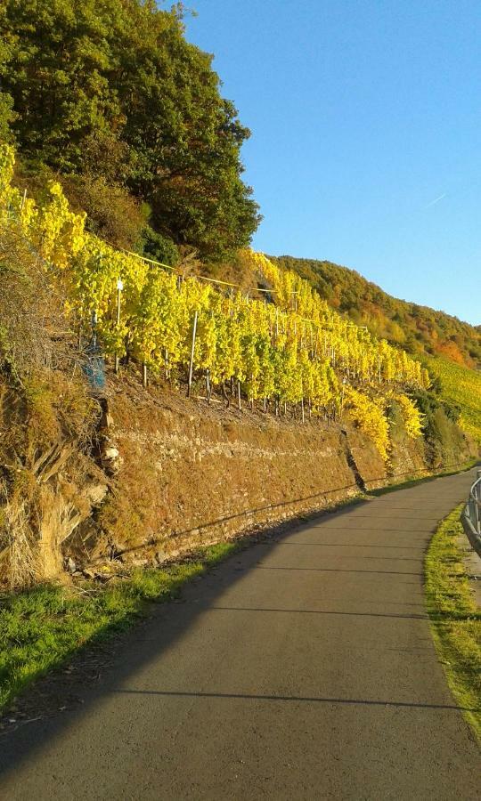 Wein & Gaestehaus Hermeshof Trittenheim Ngoại thất bức ảnh