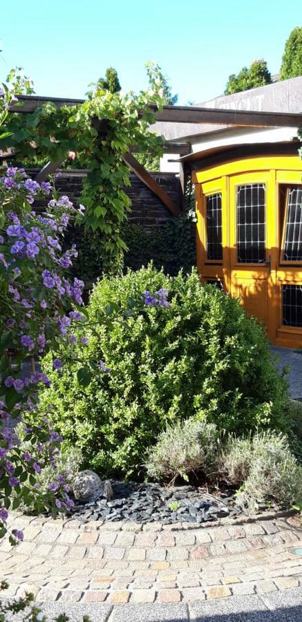 Wein & Gaestehaus Hermeshof Trittenheim Ngoại thất bức ảnh