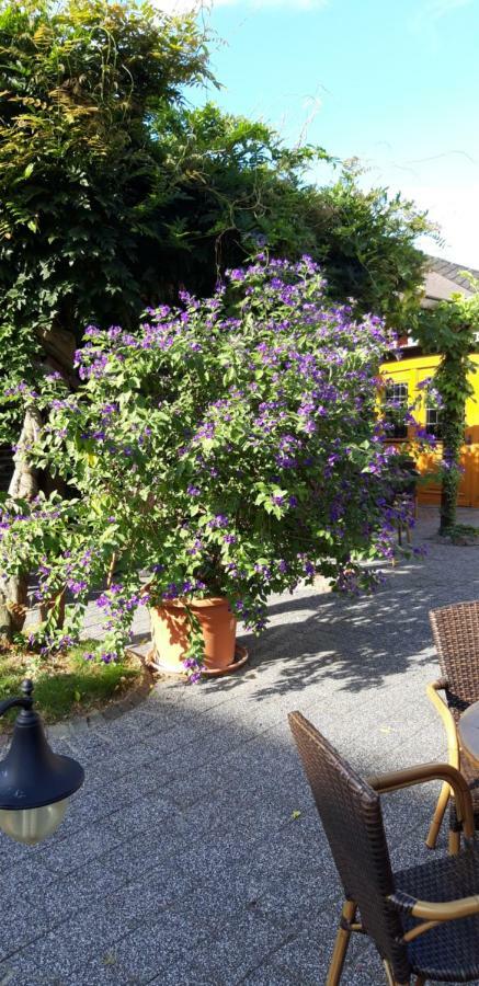 Wein & Gaestehaus Hermeshof Trittenheim Ngoại thất bức ảnh
